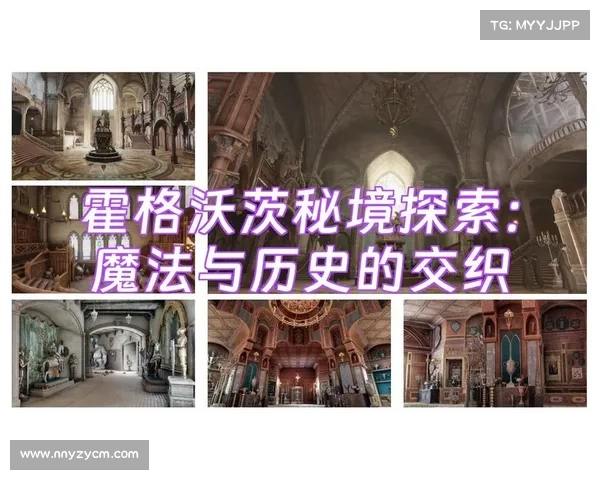探索魔法秘境中的神秘路线与技巧揭秘如何寻获隐藏宝藏 探索魔法秘境中的神秘路线与技巧揭秘如何寻获隐藏宝藏